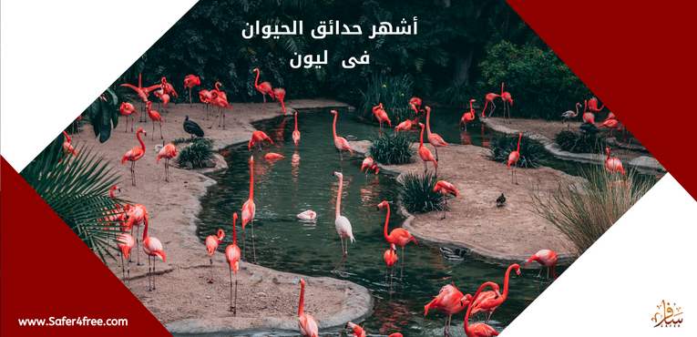أشهر حدائق الحيوان في ليون في فرنسا