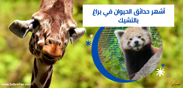 أشهر حدائق الحيوان في براغ في التشيك