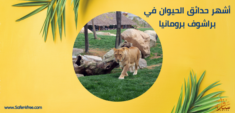 أشهر حدائق الحيوان في براشوف في رومانيا