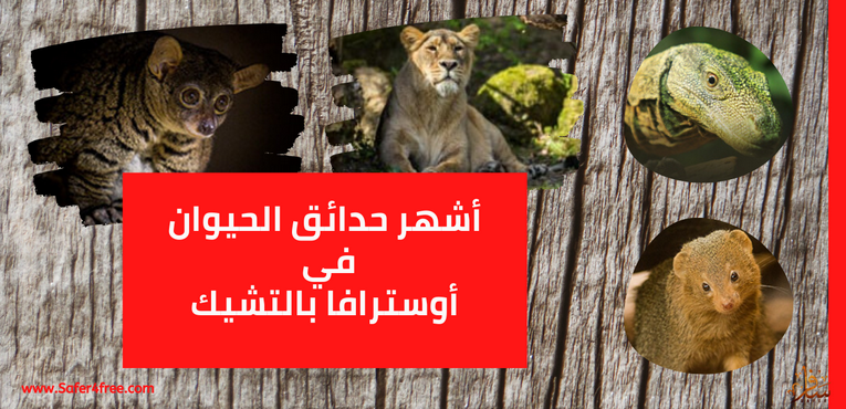 أشهر حدائق الحيوان في أوسترافا في التشيك