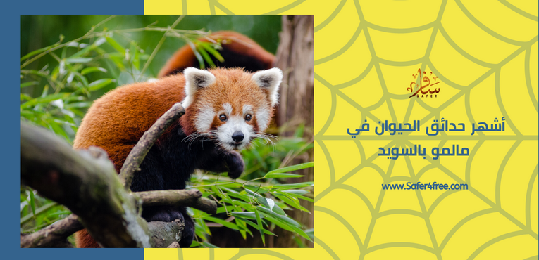 أشهر حدائق الحيوان في مالمو في السويد