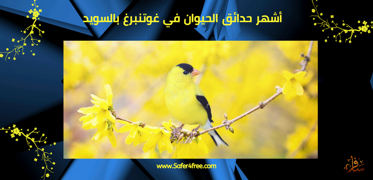 أشهر حدائق الحيوان في غوتنبرغ في السويد