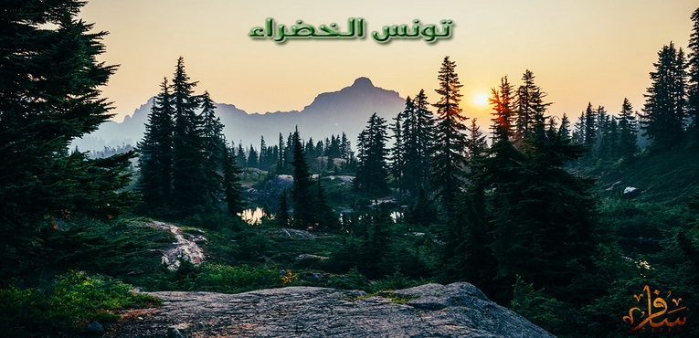 تونس الخضراء