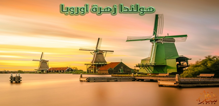 هولندا زهره اوروبا