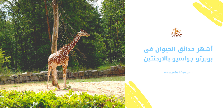 أشهر حدائق الحيوان في بويرتو جواسيو في الأرجنتين