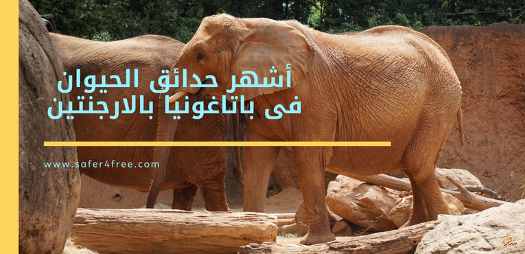 أشهر حدائق الحيوان في باتاغونيا في الأرجنتين
