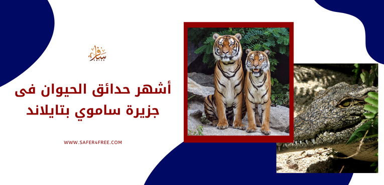 أشهر حدائق الحيوان في جزيرة كو ساموي بتايلاند