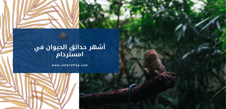 أشهر حدائق الحيوان في أمستردام بهولندا