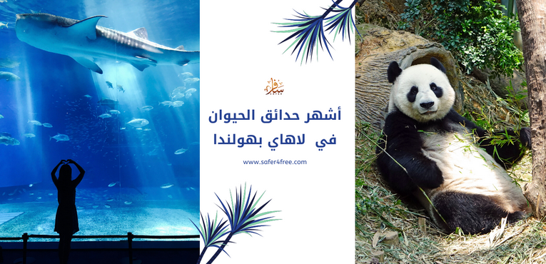 أشهر حدائق الحيوان في لاهاي بهولندا