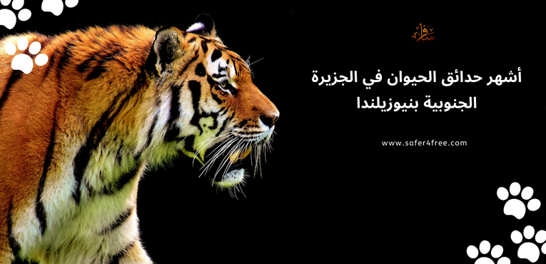 أشهر حدائق الحيوان في الجزيرة الجنوبية في نيوزيلندا