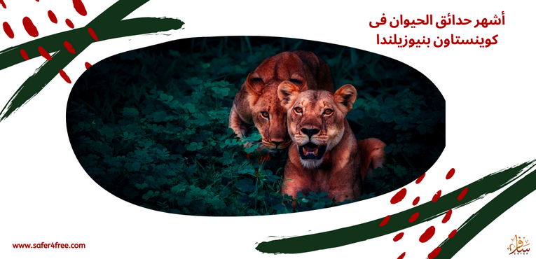أشهر حدائق الحيوان في كوينز تاون في نيوزيلندا