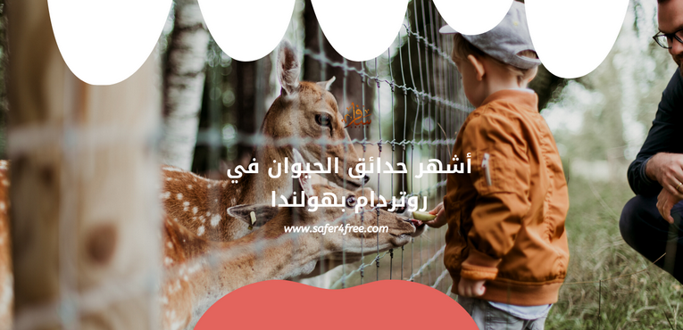 أشهر حدائق الحيوان في روتردام بهولندا