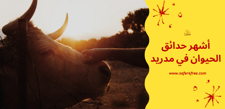 أشهر حدائق الحيوان في مدريد في أسبانيا