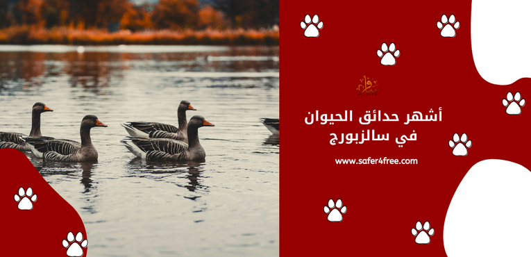أشهر حدائق الحيوان في سالزبورج بالنمسا