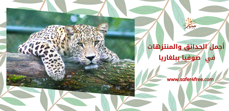 أشهر حدائق الحيوان في صوفيا في بلغاريا
