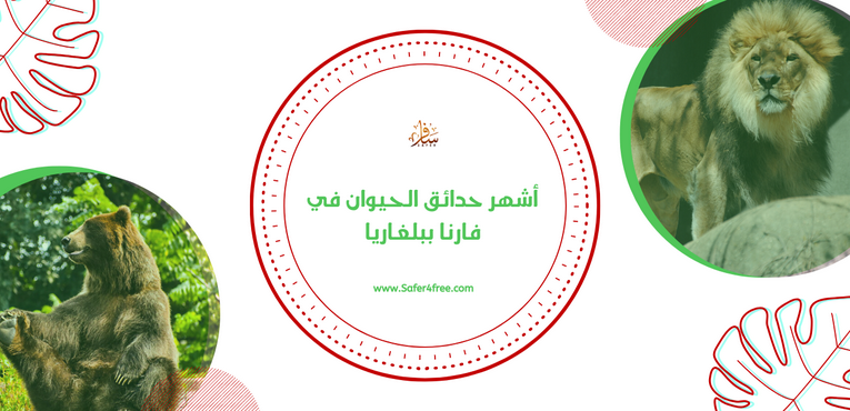 أشهر حدائق الحيوان في فارنا في بلغاريا