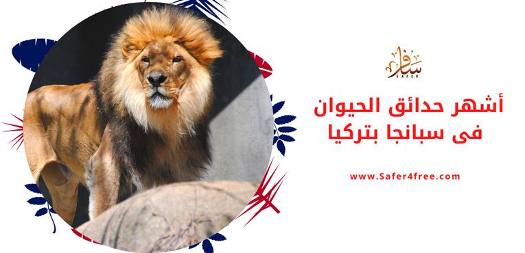 أشهر حدائق الحيوان في سبانجا في تركيا