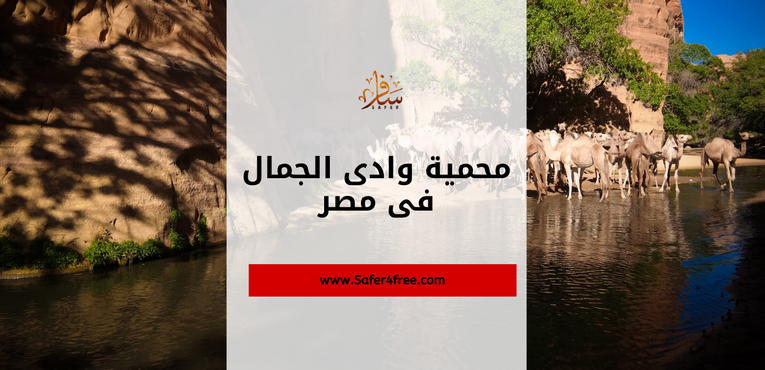محمية وادى الجمال فى مصر