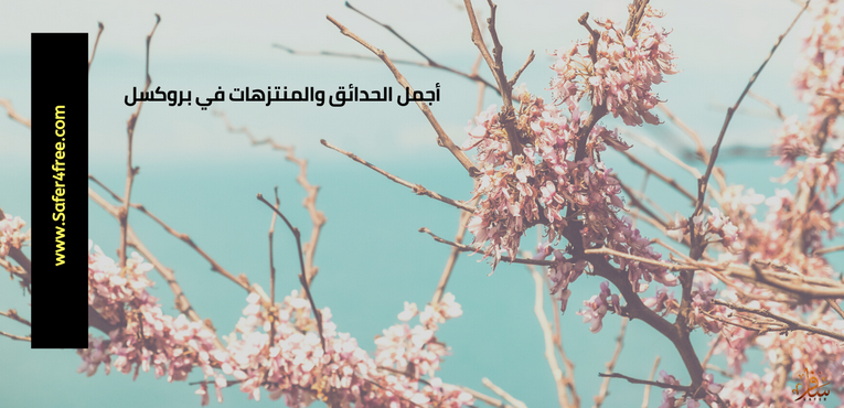 أجمل الحدائق و المنتزهات في بروكسل في بلجيكا