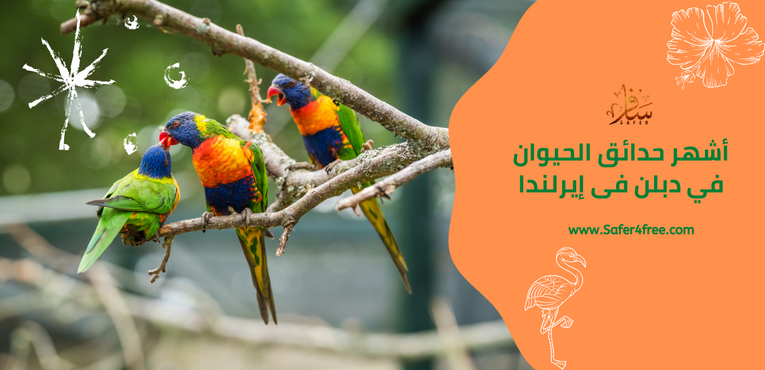 أشهر حدائق الحيوان في دبلن في أيرلندا