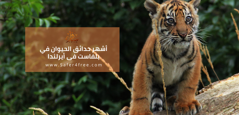 أشهر حدائق الحيوان في بلفاست في ايرلندا