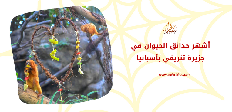 أشهر حدائق الحيوان في جزيرة تنريفي في أسبانيا