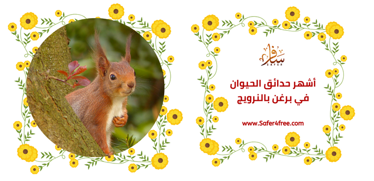 أشهر حدائق الحيوان في بيرغن في النرويج