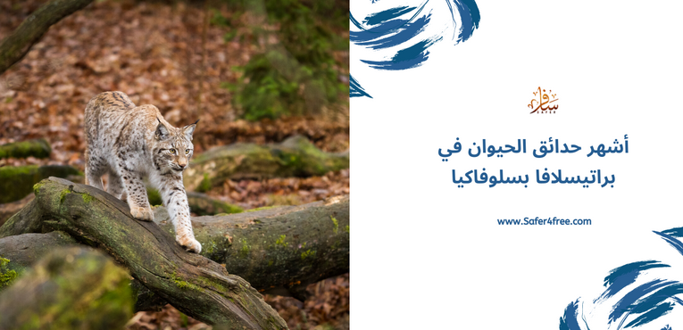 أشهر حدائق الحيوان في براتيسلافا في سلوفاكيا