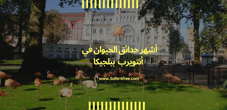 أشهر حدائق الحيوان في انتويرب في بلجيكا
