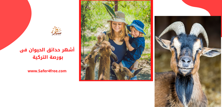 أشهر حدائق الحيوان في بورصة في تركيا