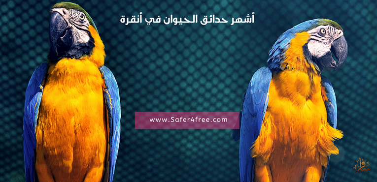 أشهر حدائق الحيوان في أنقرة في تركيا