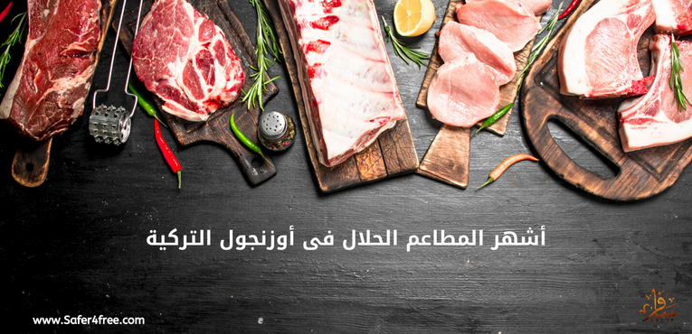 أشهر المطاعم الحلال في أوزنجول بتركيا